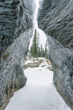 Kış mevsiminde Kanada 'nın Alberta kentindeki Yoho Ulusal Parkı' nda kireçtaşı mağarasının görkemli doğal donmuş girişi.