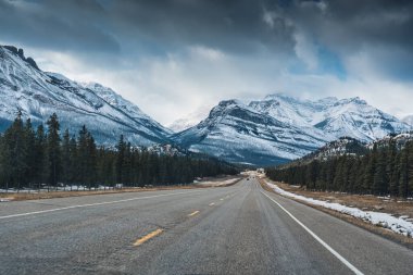 Kanada 'nın Alberta şehrinde kışın buzul tarlaları üzerinde kayalık dağlar ve çam ormanı olan otoyol.