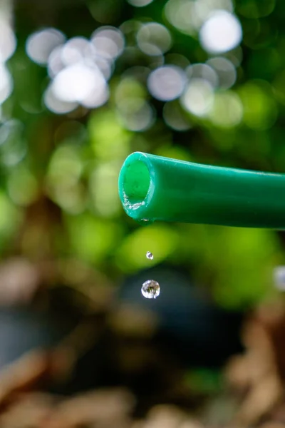 Νερό Πέφτει Από Πράσινο Λάστιχο Στον Κήπο Εξοικονόμηση Νερού — Φωτογραφία Αρχείου