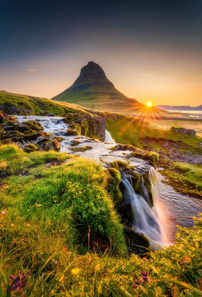 Gyönyörű Táj Napkelte Felett Kirkjufell Hegy Vízesés Folyik Vadvirág Virágzik — Stock Fotó
