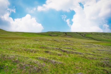 Bereketli çimen tepesi Bulutlu ve mavi gökyüzü güneşli günde