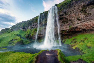 Güzel Seljalandsfoss Şelalesi yazın İzlanda 'nın güneyine akar ve yemyeşil bir dağdır. Ünlü doğa cazibesinin bakış açısı