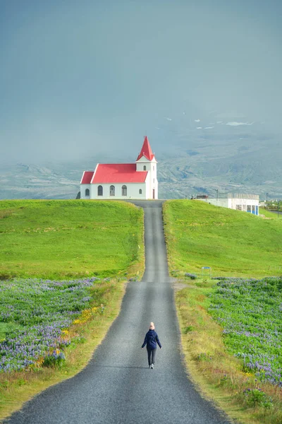 アイスランドのスナフェルネス半島で夏に咲くルパインの野生花の間で楽しむ女性観光客と丘の上の美しい聖なるインジェルドシャルカヤ教会 — ストック写真