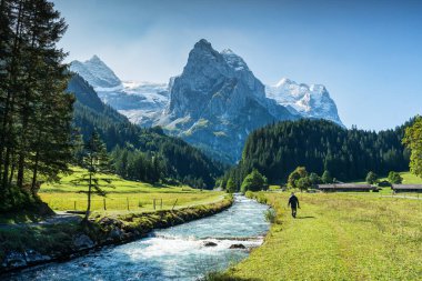 Güneşli bir günde İsviçre, Bern 'de Reichenbach nehri ve Wetterhorn buzulu dağı boyunca yürüyen erkek turistin güzel manzarası.