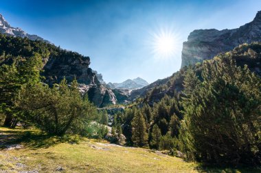 İsviçre Alpleri 'nin Wetterhorn zirvesi manzarası güneşli bir günde İsviçre' nin Rosenlaui kentindeki Reichenbach 'da parlıyor.