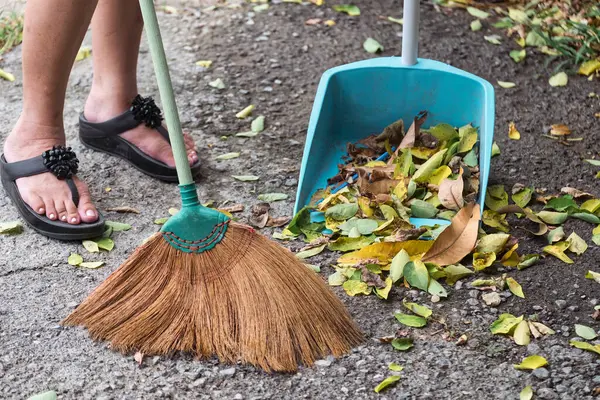 Adult woman use a broom sweeping leaves to dustpan on backyard in fall season