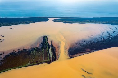 Sarı nehir kolları, volkanik bölgeden yükselen sülfür zengin çökeltilerin havadan görüntüsü, İzlanda 'nın vahşi doğasında, siyah kumsal sahillerinden okyanusa doğru eriyor ve akıyor.