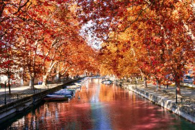 Fransa 'nın Haute Savoie kentindeki Anncery Gölü' nde bulunan Kanal du Vasse ile güzel bir akçaağaç tüneli.