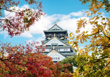 Japonya 'da güneşli bir günde sonbahar yapraklı Osaka Kalesi