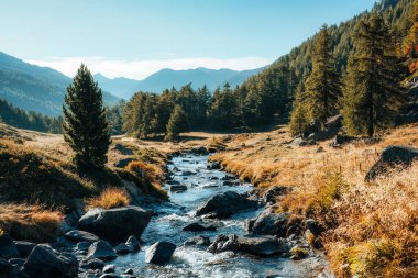 Fransa 'nın Fransız Alplerinde güneşli bir günde sonbahar ormanı ve nehri akan güzel Claree Vadisi