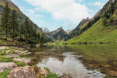 İsviçre 'nin Appenzell şehrinde yaz mevsiminde Alpstein dağlarındaki Seealpsee dağ vadisi ve göl manzarası harika. 