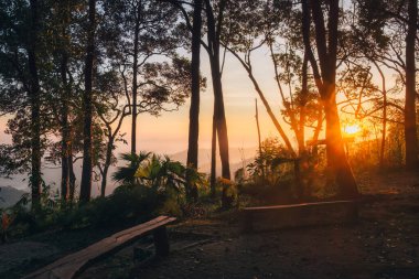 Thong Pha Phum Ulusal Parkı, Kanchanaburi, Tayland 'daki tropikal yağmur ormanlarındaki ağaçların arasından parlayan ılık gündoğumu