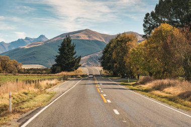 Sonbahar ormanı ve Yeni Zelanda 'nın Güney Adası' ndaki dağ arasında asfalt yolda araba yolculuğu.