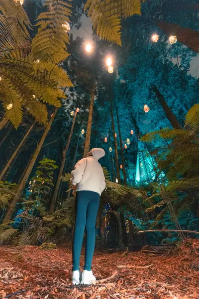 stock image Female tourist enjoying in Redwood or Whakarewarewa forest with illuminated lighting and lamp in the night at Rotorua, New Zealand