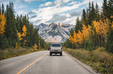 Sonbahar ormanlarında otoyolda giden kamyonet ve güneşli bir günde Kanada, Alberta 'daki Banff Ulusal Parkı' nda kayalık dağlar.