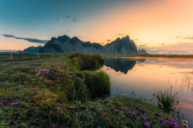 Yazın güneydoğu İzlanda 'daki Stokksnes yarımadasında, Vestrahorn dağının üzerinde güzel bir gün doğumu manzarası ve kır çiçekleri çiçek açıyor.