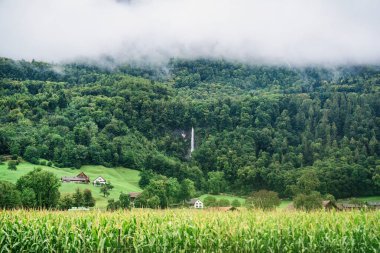 Şelale dağının yanındaki köy ve İsviçre 'nin kırsal kesimindeki mısır tarlaları.