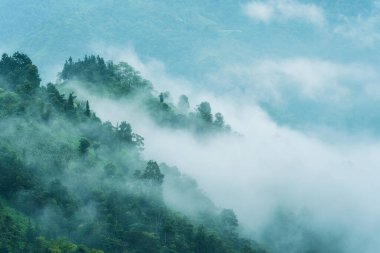 Evergreen sisli dağ sabah tropikal yağmur ormanlarıyla kırsalda