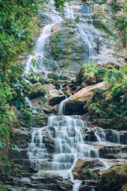 Tropikal ormanlardaki kayalık arazide çağlayan güzel şelale Hoang Su Phi, Vietnam 'da çevreleyen canlı yeşil bitki örtüsü.