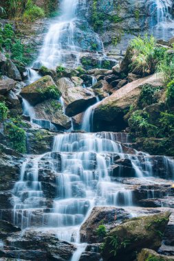 Tropikal ormanlardaki kayalık arazide çağlayan güzel şelale Hoang Su Phi, Vietnam 'da çevreleyen canlı yeşil bitki örtüsü.