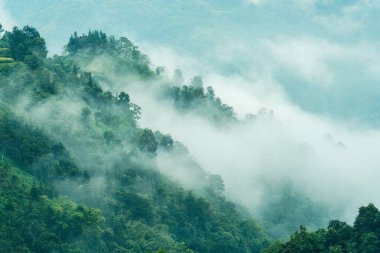 Evergreen sisli dağ sabah tropikal yağmur ormanlarıyla kırsalda
