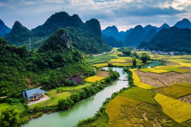 Phong Nam Vadisi 'nin havadan görünüşü pirinç tarlası ve kıvrımlı nehir Cao Bang, Vietnam kırsalındaki geleneksel köy boyunca akar.