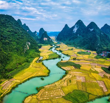 Phong Nam Vadisi 'nin panorama hava manzaralı pirinç tarlası ve kıvrımlı nehir Cao Bang, Vietnam kırsalındaki geleneksel köy boyunca akar.