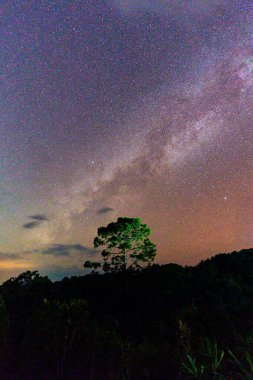 Kainatta parlayan yıldızlarla dolu renkli Samanyolu uzak yabanda tepenin üzerindeki ağaçların üzerinde.
