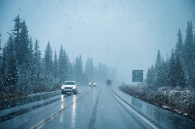 Karlı bir günde çam ormanlarında arabayla gezintiye çıkmak ve Kanada 'nın Alberta, Parkway kentindeki düşük görüş koşulları.