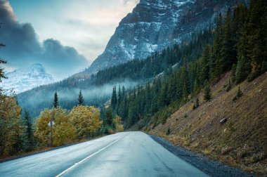 Kanada 'nın Alberta kentinde Banff Ulusal Parkı' nda sonbaharda kayalık dağlar ve çam ormanlarıyla dolu bir gezi.