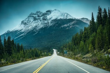 Kanada 'nın Alberta kentinde Banff Ulusal Parkı' nda sonbaharda kayalık dağlar ve çam ormanlarıyla dolu bir gezi.