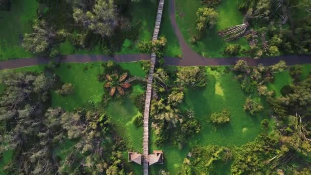 Descoperiți Vederea Aeriană Vietnams Tra Nature Reserve Explorează Peisaje Luxuriante — Videoclip de stoc