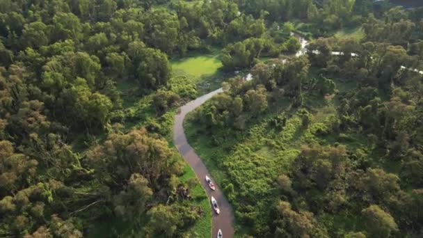 Vietnams Tra Nature Reserve의 전망을 감상하세요 고요한 조용한 보존된 성역에서 — 비디오