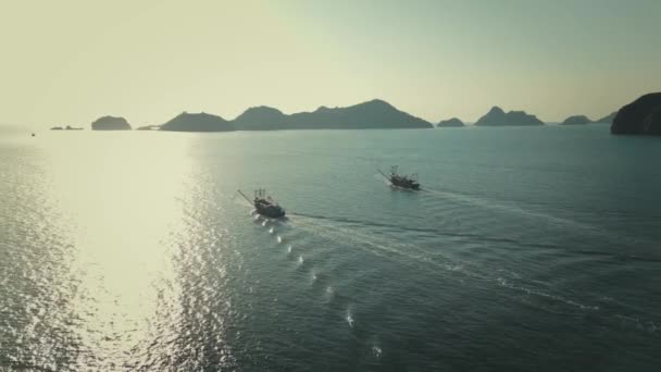 Experience Nighttime Fishing Cat City Vietnam Long Bay Watch Boats — Stock Video