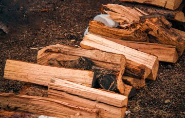 Yerdeki Ateş Odunları