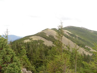 Karpat Dağları 'nın Manzarası