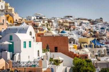 Oia, Greece - August 2022 : Image of the colorful hillside houses in the Oia old town on Santorini Island