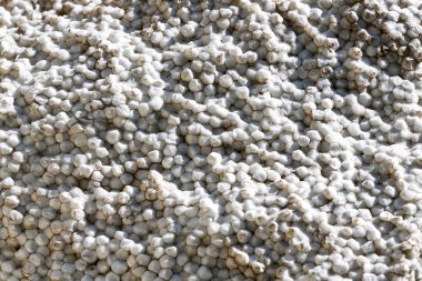 Plastik soyut doku. Yüzey grunge arka planı. Kirli etki kalıbı. Malzeme geçmişi. Grafiksel kaynak.