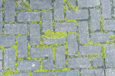 Eski Avrupa sokaklarının yüzeyi. Tuğla deseni. Tuğla duvar