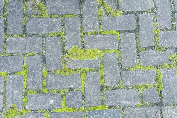 Eski Avrupa sokaklarının yüzeyi. Tuğla deseni. Tuğla duvar