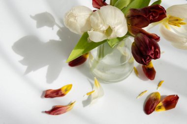 Mevsimsel alerjiler, polen alerjisi, solmuş çiçekler. Düşen çiçek yaprakları