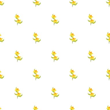 Beyaz arkaplanda serbest vektör renkli çiçekler