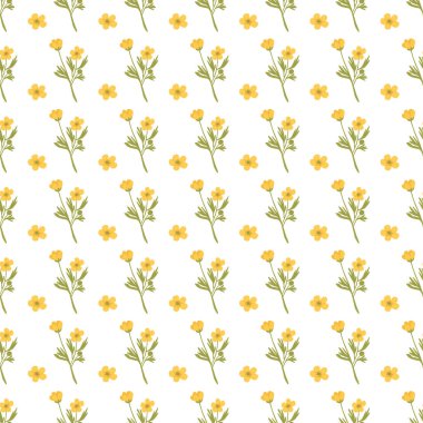 Kusursuz Daisy Çiçeği Şablonu Zarif ve Neşeli Tasarım