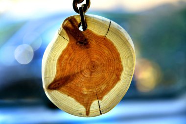 Zaman çizelgesi halkaları küçük bir tahta parçasında görünüyor. Parça deri askıdan sarkıyor. Tahta çatlamış..