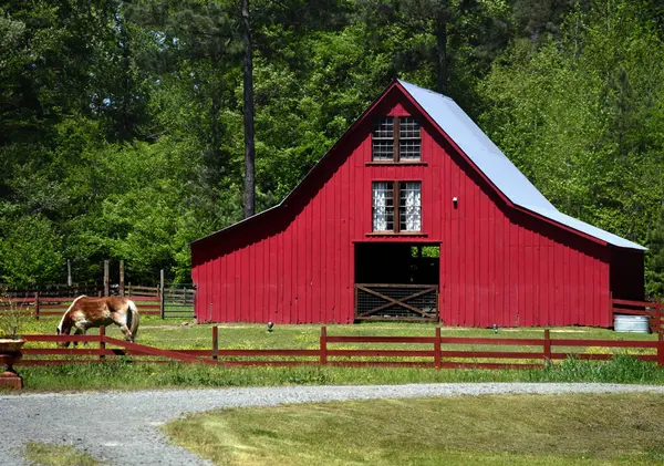 Arkansas, Old Washington 'daki kırmızı ahşap ahır önündeki çitlerde at otluyor..