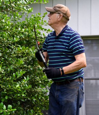 Yaşlı bir adam elinde bir makas takımı tutuyor ve önünde işi inceliyor. Eldiven ve şapka takıyor ve bir merdivenin üzerinde duruyor, çalıların önünde..