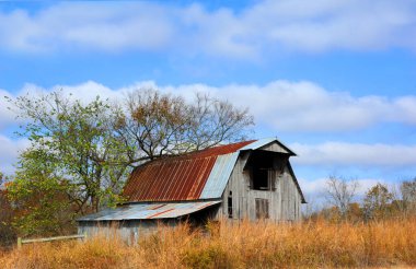 Paslı teneke çatılı eski ahşap ahır yavaş yavaş yabani otlarla kaplanıyor. Çatı katı açık ve bulutlar mavi gökyüzünü dolduruyor.