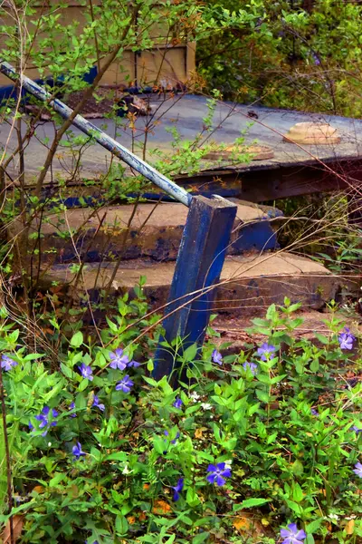 stock image Abandoned home is slowly being swallowed by weeds and wildflowers.  Blue steps have flaked off until just a trace remains.  One wooden rail remains.