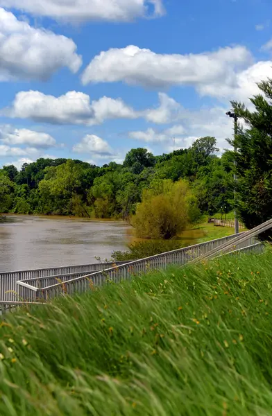 Camden, Arkansas 'taki nehir parkında tekne gezisi, piknik ve yürüyüş yolları var. Su yüksektir, ama bahar çimenleri yürüyüş alanının yanında boldur..