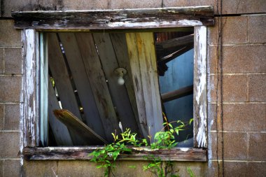 Window view inside an abandoned old building, reveals a collapsed roof and a single light bulb.  Light bulb could represent a 